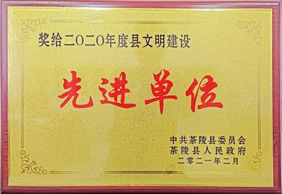 湖南泰陽(yáng)藥業(yè)先進(jìn)單位